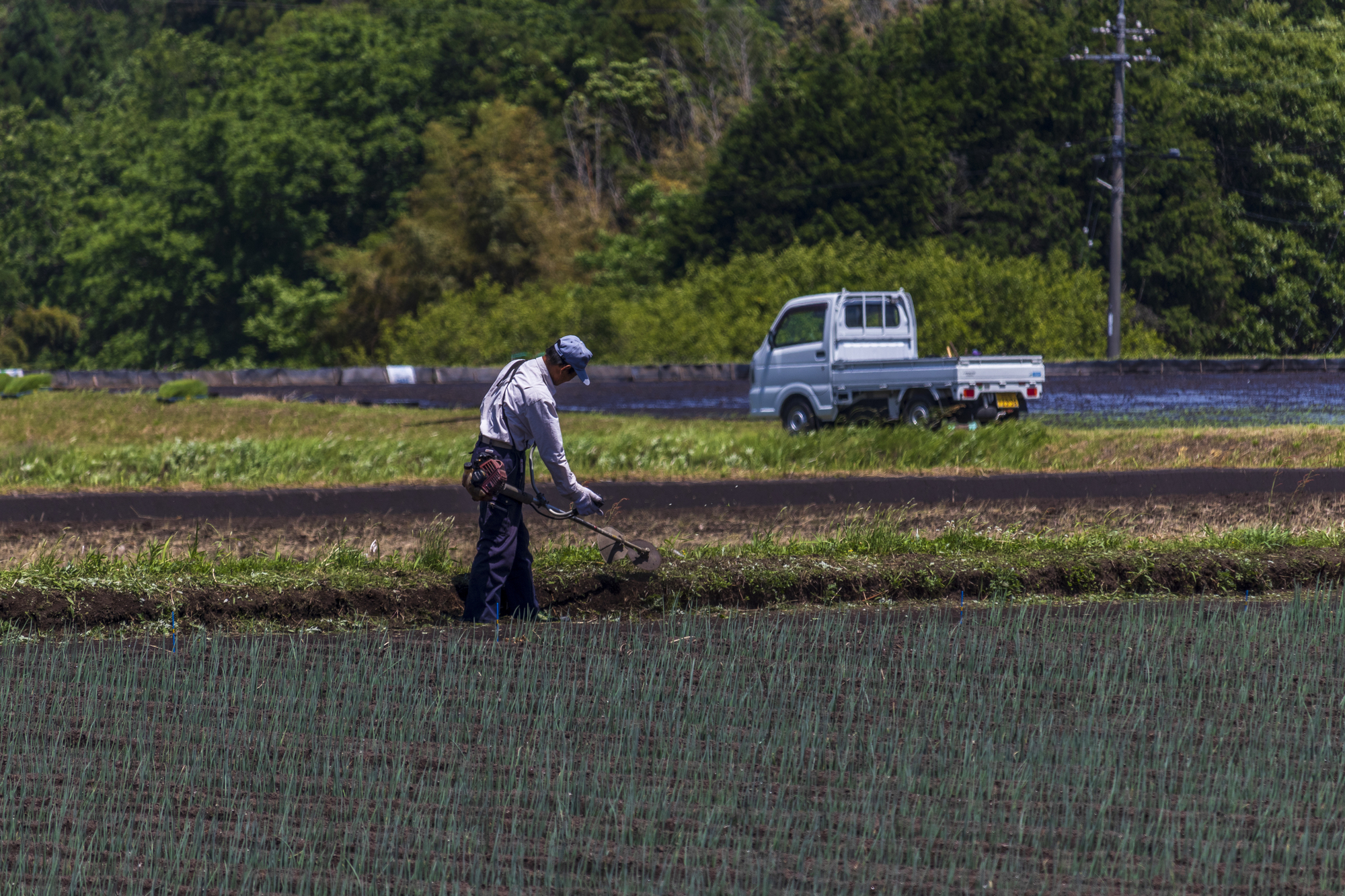 農作業を効率化！ドローン利用の省力事例などを解説￼ ｜お役立ち情報